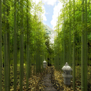 Bamboo Forest Lane Trial APK