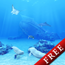 Beluga Whales Friends Trial APK