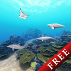 Dolphin Ocean 360° Trial icône