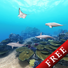 Dolphin Ocean 360° Trial иконка