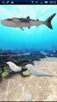 Dolphin Ocean 360° Trial постер