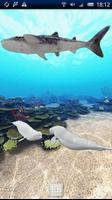 Dolphin Ocean 360° Trial Affiche