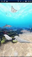 Dolphin Ocean 360° Trial Screenshot 1