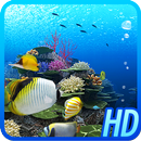 Coral Reef of Kerama HD Trial APK