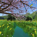 Stream Sakura Trial APK