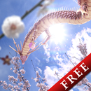 Sakura Dragon Sun Free APK