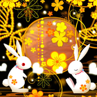 Rabbit Elegant Story Trial icon