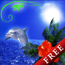 Dolphin -Lapis Lazuli-Trial APK