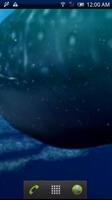 Whale Shark Trial capture d'écran 1
