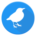 Bird Sounds