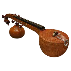 Plucked instruments APK 下載