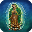 Virgen de Guadalupe Fondo Animado