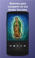 Virgem de Guadalupe Live Wallpaper imagem de tela 2