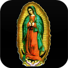 Virgen de Guadalupe Live Wallpaper आइकन