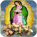 Virgen De Guadalupe Rosa Fondo Animado APK