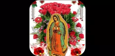 Virgen De Guadalupe Rosas Fondo Animado
