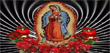 Virgen De Guadalupe Rosas Rojas Fondo Animado