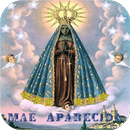 Our Lady Concepción Aparecida Live Wallpaper APK