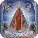 Our Lady of La Concepcion Aparecida Gif APK