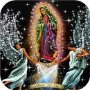 Our Lady Of Guadalupe Wallpaper Gif APK