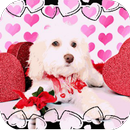 Perros Happy Valentines Day Live Wallpaper APK
