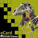 DMNS eCard v1 APK