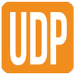 UDP Socket Button