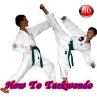 How To Taekwondo 截图 1
