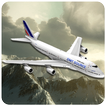 Emergency Landing Disaster