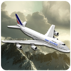 Emergency Landing Disaster icon