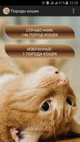 Породы кошек. Справочник-poster
