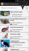 Породы кошек. Справочник screenshot 1