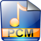 PCM Player icône