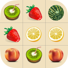 Find The Same Fruits icône