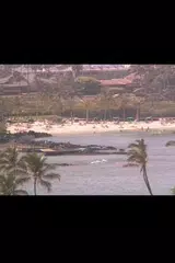 Descargar APK de MJpeg Viewer