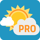 WeatherPro & Widget ikona
