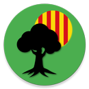 Monumental Trees of Catalonia APK