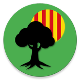 ”Arbres Monumentals de Cataluny