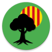 Monumental Trees of Catalonia