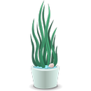 Houseplants APK