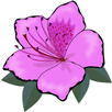 Flora APK
