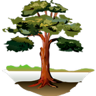 Trees icon