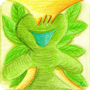 Herbes médicinales APK