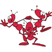 ”Ants