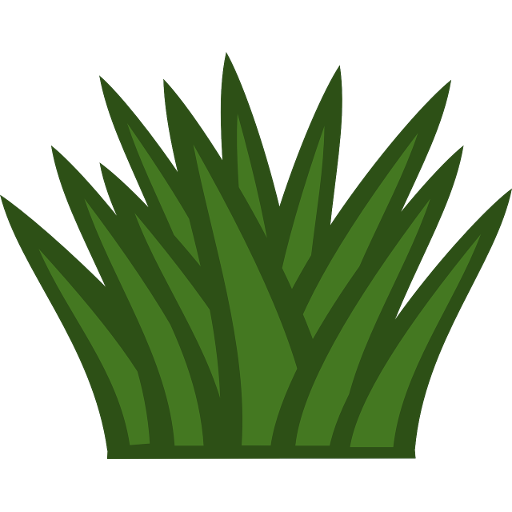 Perennial herbs