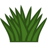 Perennial grasses