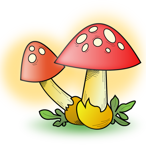 Funghi