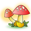 蘑菇 APK