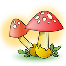 Mushrooms APK