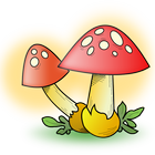 Cogumelos ícone